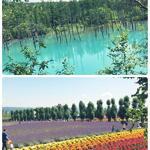 実例写真