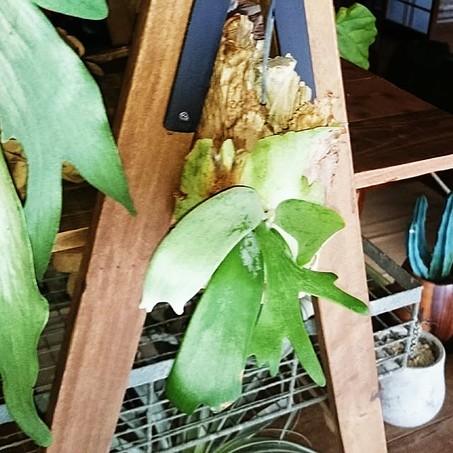 takenさんの実例写真