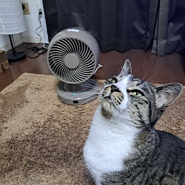 shinoさんの実例写真