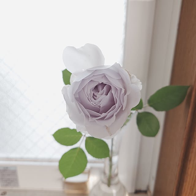 merirynさんの部屋