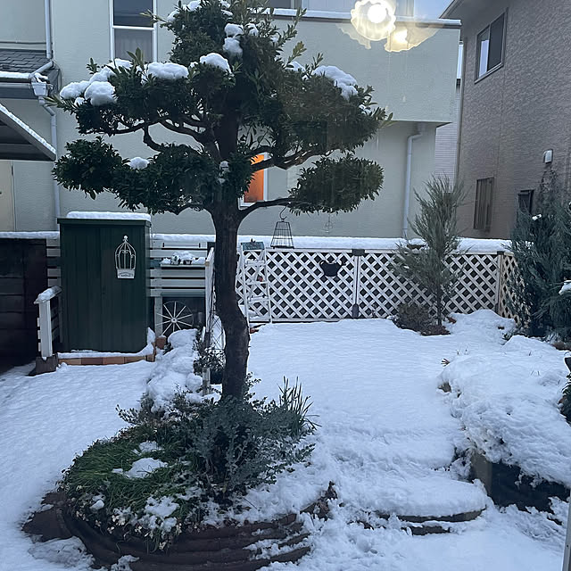 momocchiさんの部屋