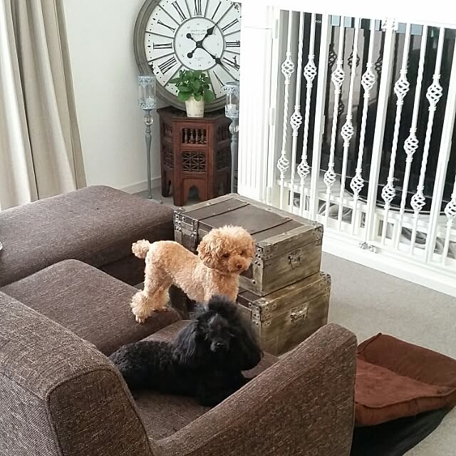 Mikiさんの実例写真