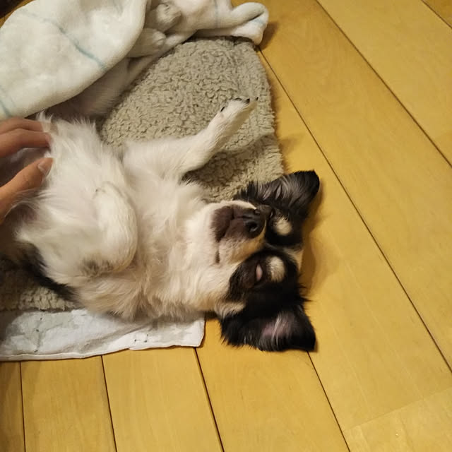 yukkoさんの実例写真