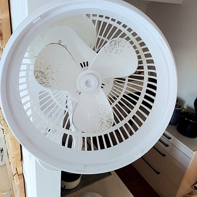 chibisukeさんの部屋