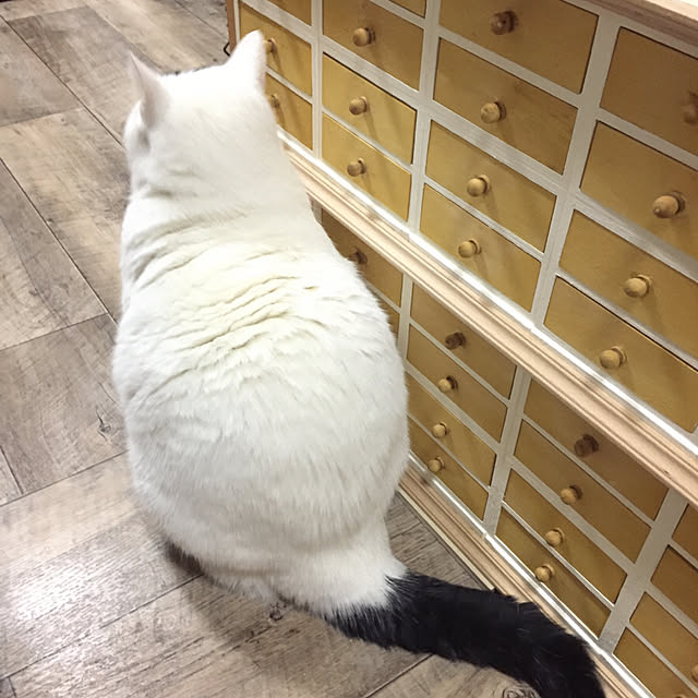 miさんの実例写真