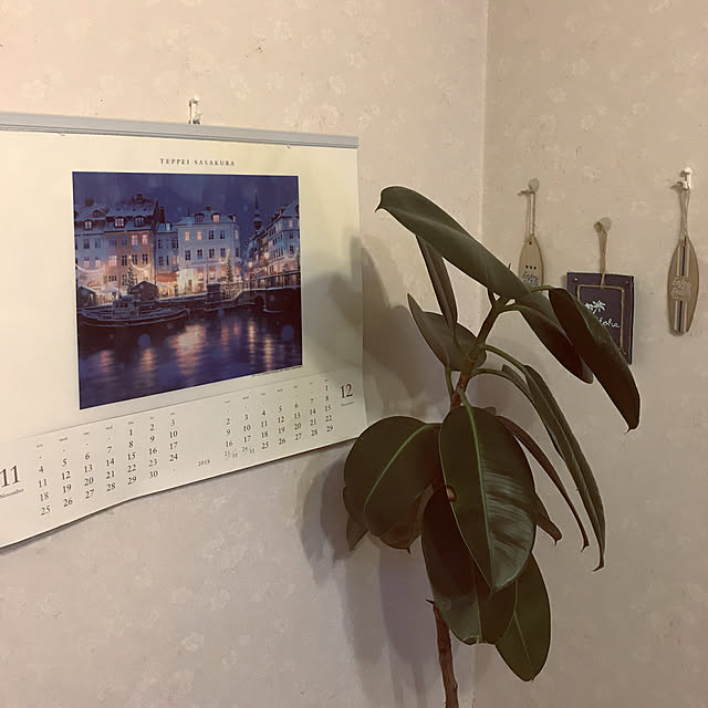 junriさんの実例写真