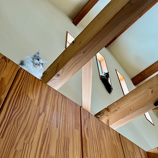 Kikko.さんの部屋