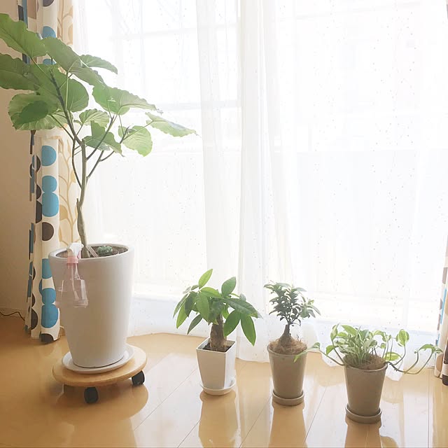 Mayukoさんの実例写真
