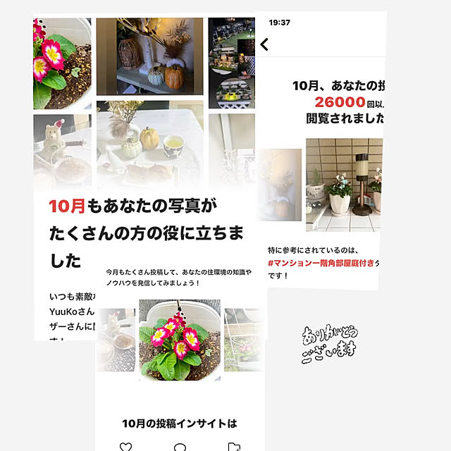 YuuKoさんの実例写真