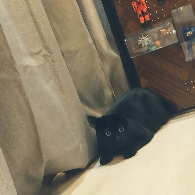 Tさんの実例写真