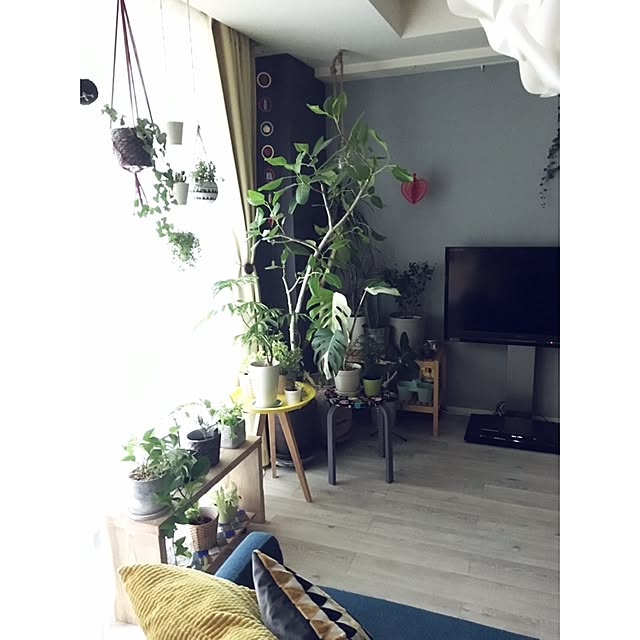 naoさんの実例写真