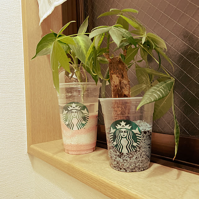 k.nky.0518さんの実例写真