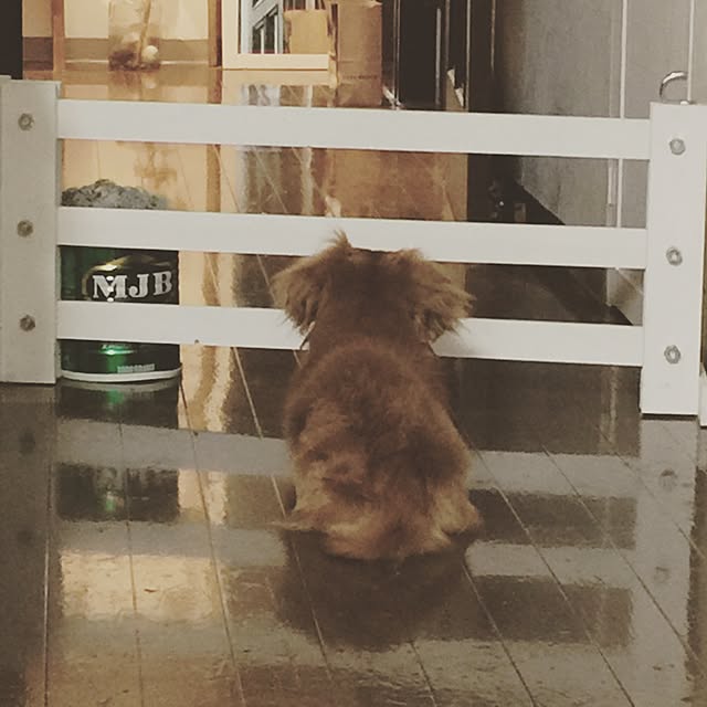 ram_mamaさんの実例写真