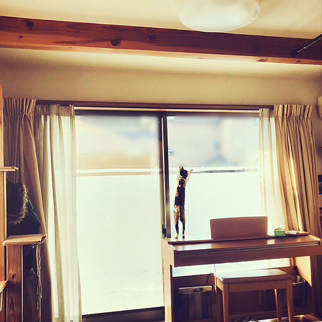 maroさんの実例写真