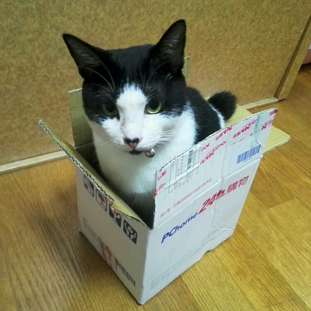 lucyさんの実例写真