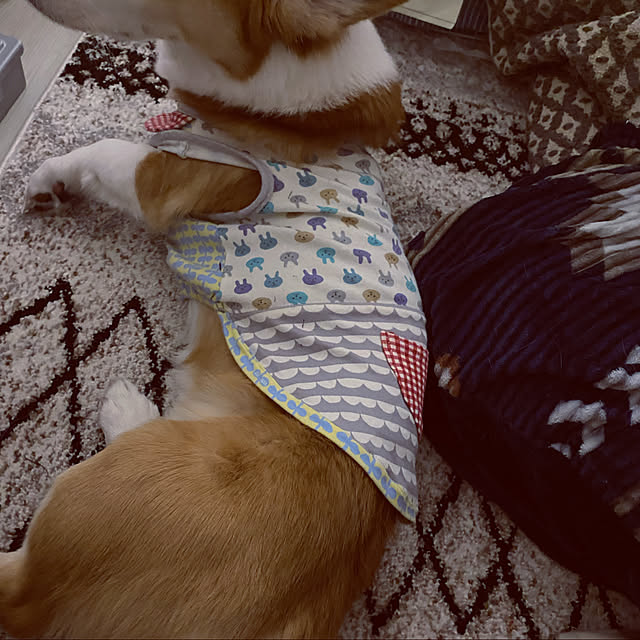nico2525さんの実例写真