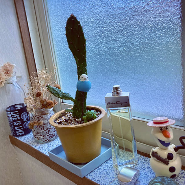 takakoさんの実例写真