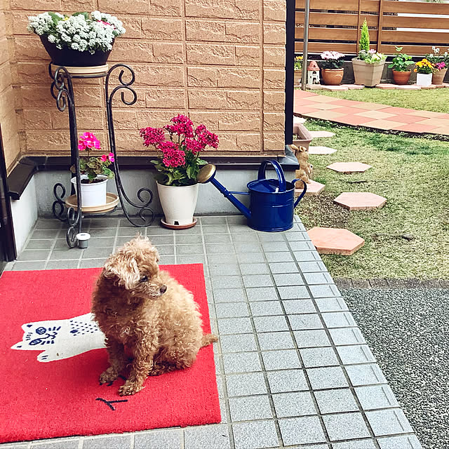haruminさんの実例写真