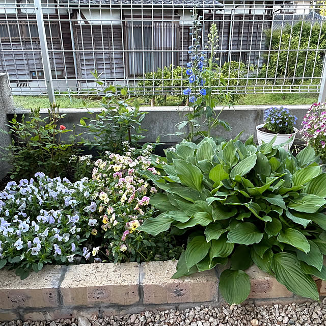banbinaさんの実例写真