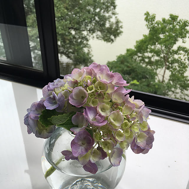 Hanagoboさんの実例写真