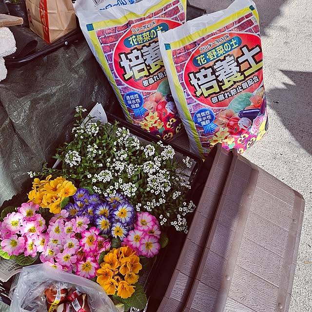 mocomocoさんの実例写真