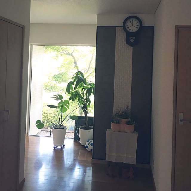 sakoさんの実例写真