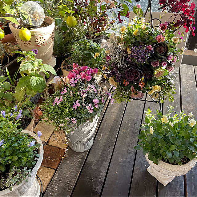 yumiさんの実例写真