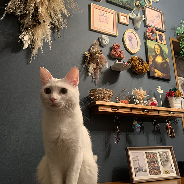 keiさんの実例写真