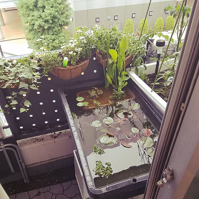 tsuguさんの実例写真