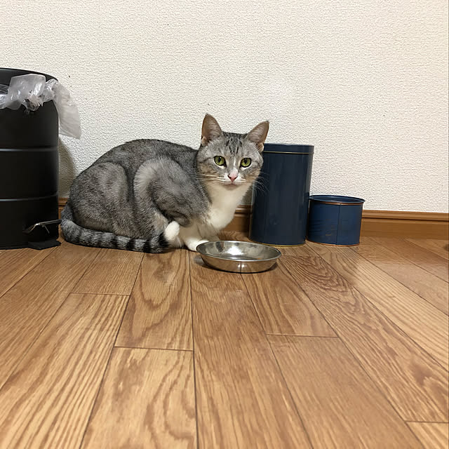 Honamiさんの実例写真