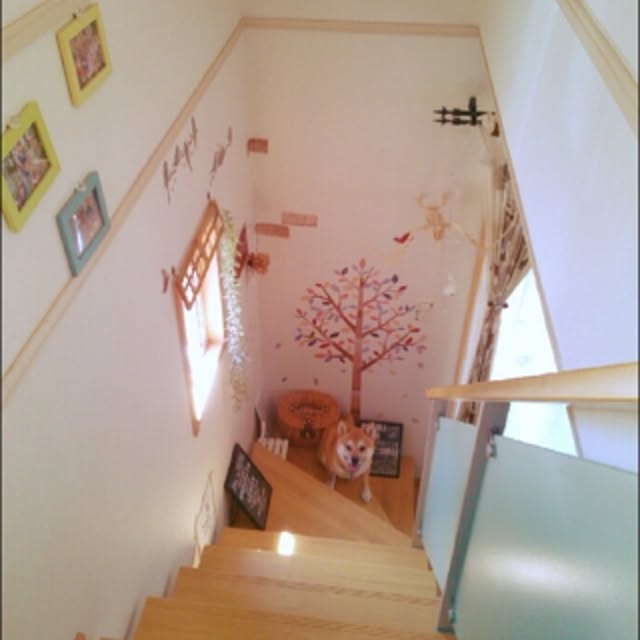 kotaさんの実例写真