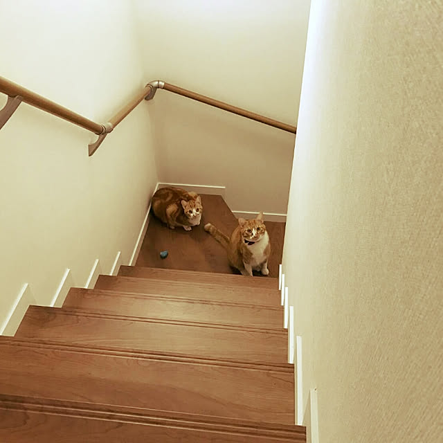 Amiamiさんの実例写真
