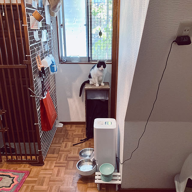 karuさんの実例写真