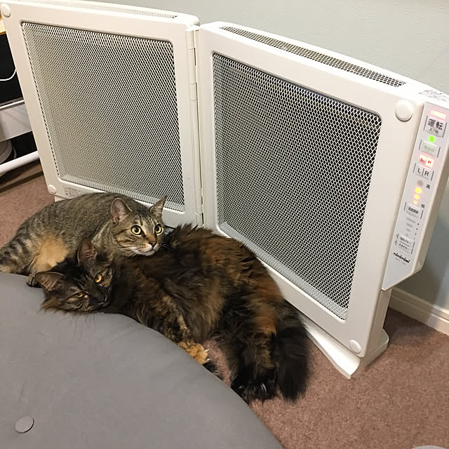 mikomaruさんの実例写真