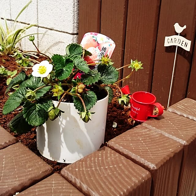 youmomoさんの実例写真