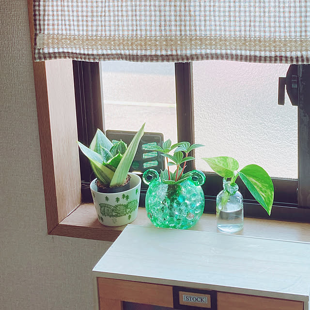 yuyuさんの実例写真