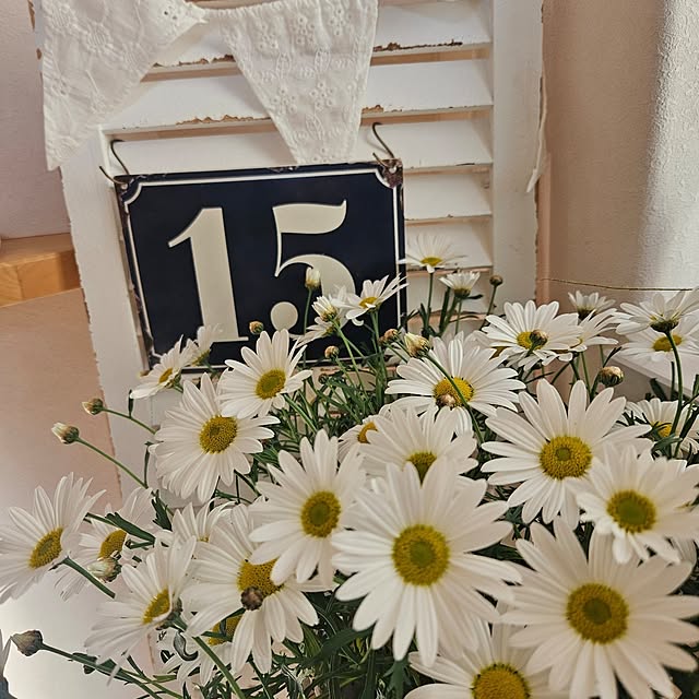 Mgardenさんの実例写真