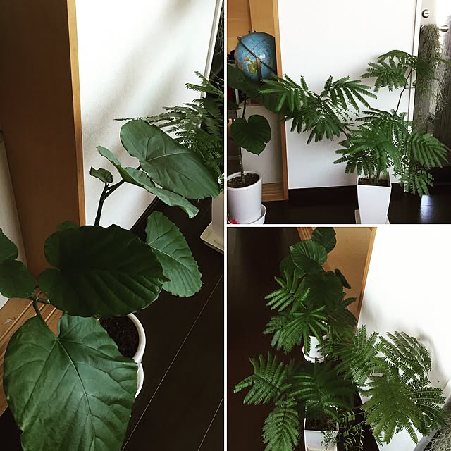 minamiさんの実例写真