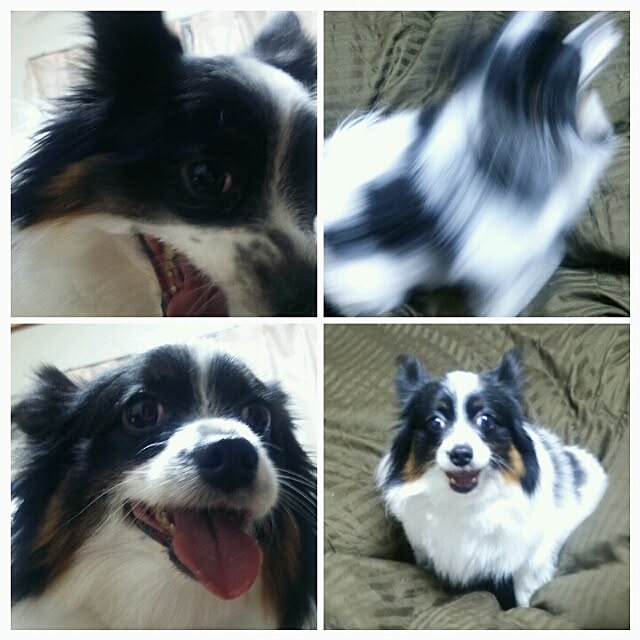 Smileberryさんの実例写真