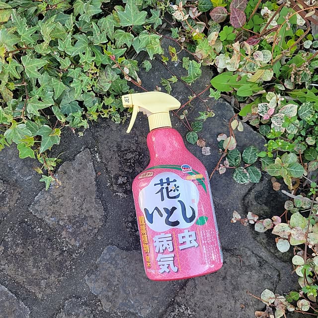 reireiさんの実例写真