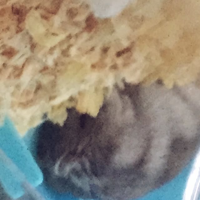 seriaさんの実例写真
