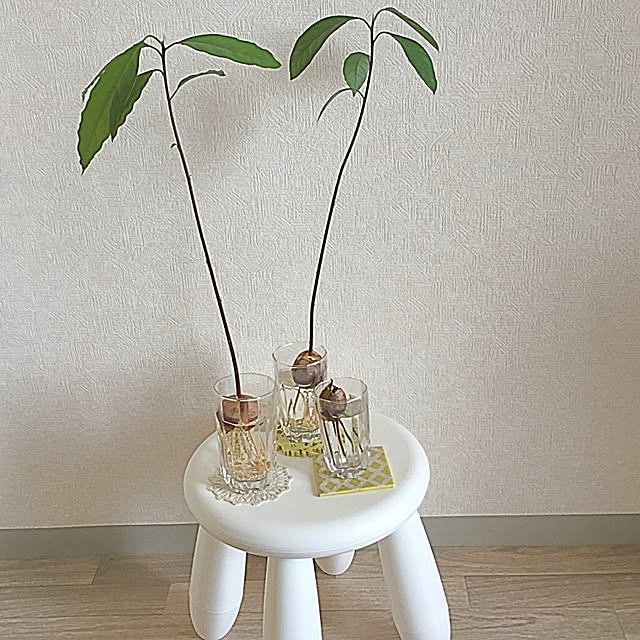 Yuukaさんの実例写真