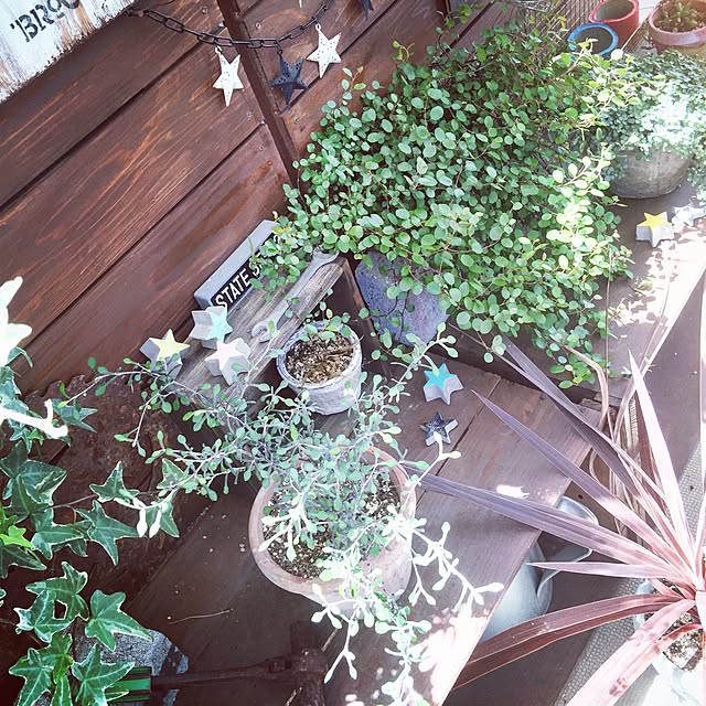 hirohiroさんの実例写真