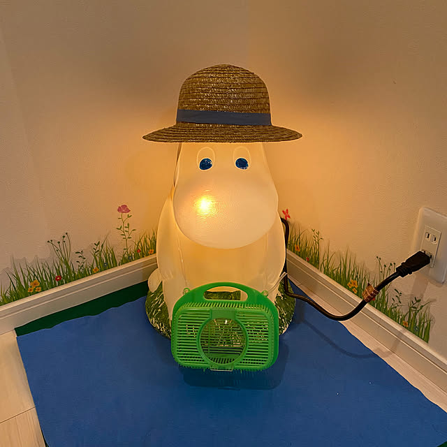 sukkorobiさんの部屋