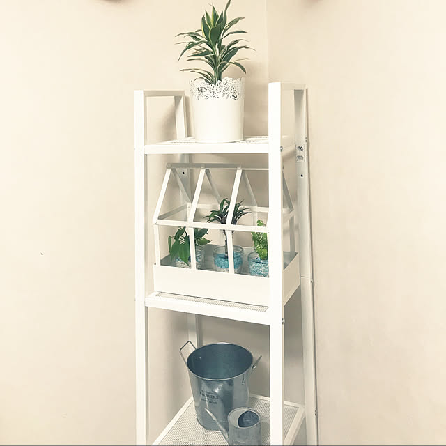観葉植物/IKEA/100均/棚のインテリア実例 - 2021-09-08 00:03:16