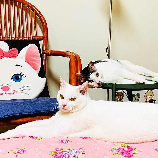 pcu110さんの実例写真