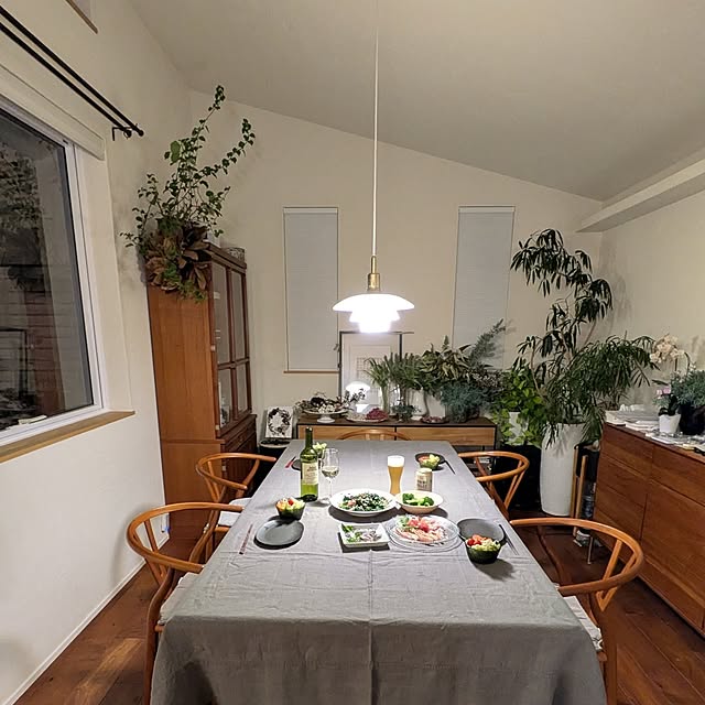 nolleyさんの部屋