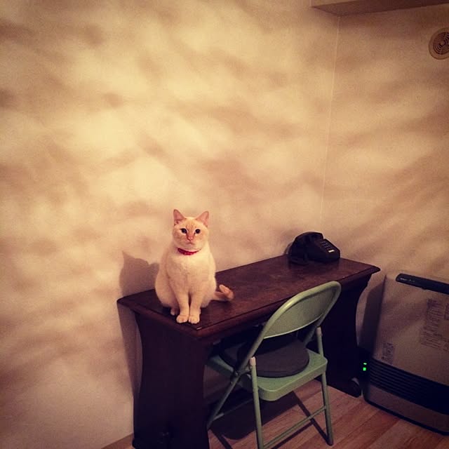 bobooooonさんの実例写真