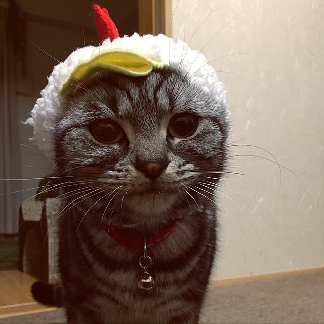 hiyupan88さんの実例写真