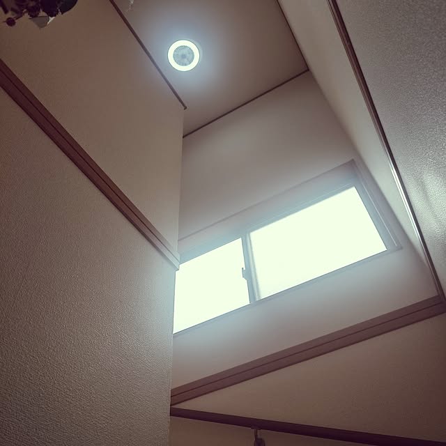 noguriさんの部屋